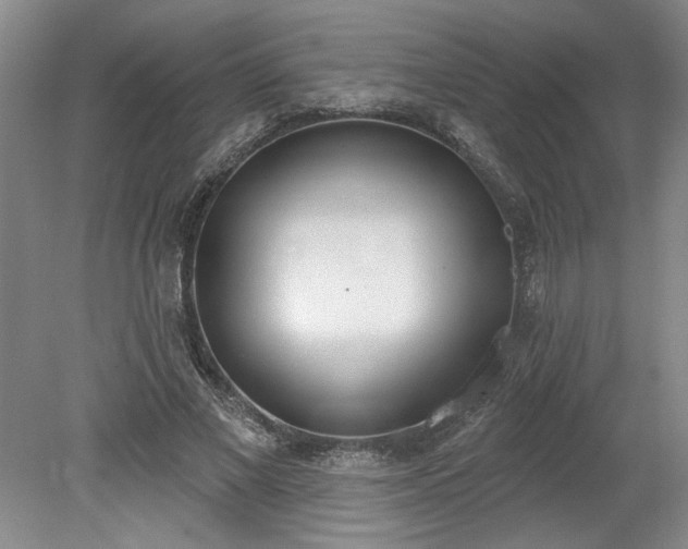 X0000078230685200611101010