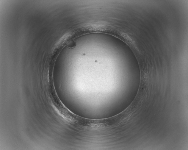 X0000078230686200611101010