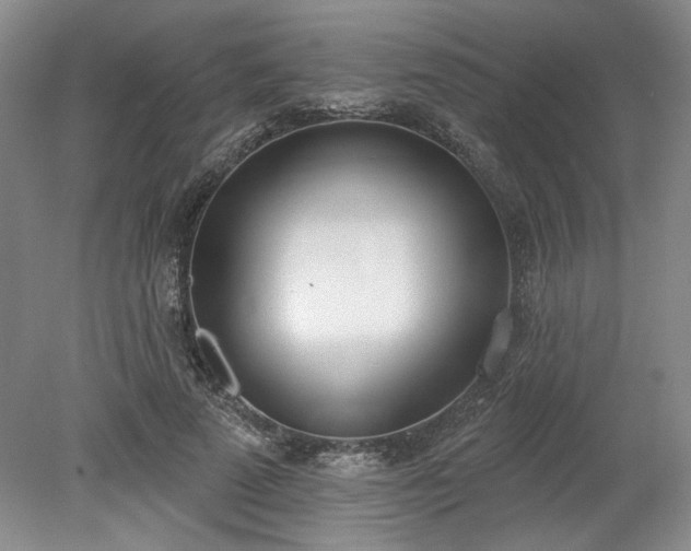 X0000078230689200611101010