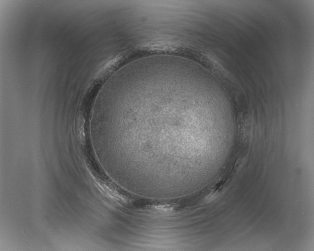 X0000078230692200611101010