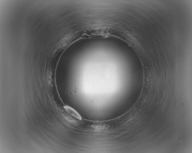 X0000078230693200611101010