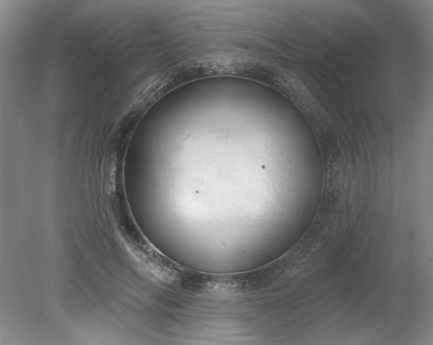 X0000078230694200611101010