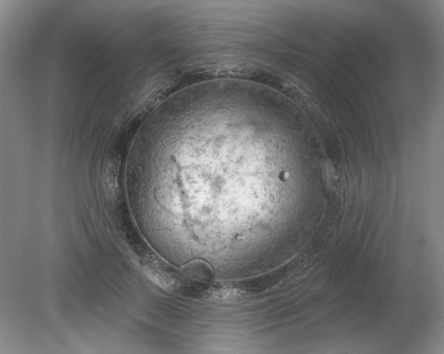 X0000078230695200611101010