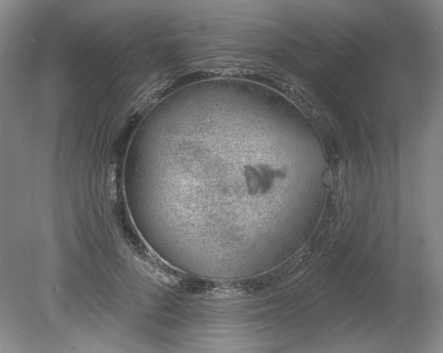 X0000078230696200611101010