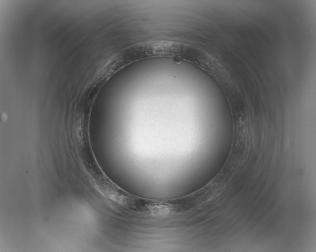 X0000078230698200611101010