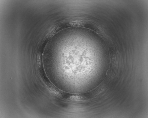 X0000078230699200611101010