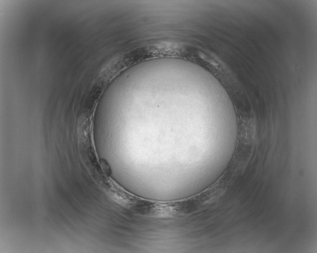 X0000078230701200611101010