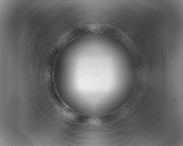 X0000078230702200611101010