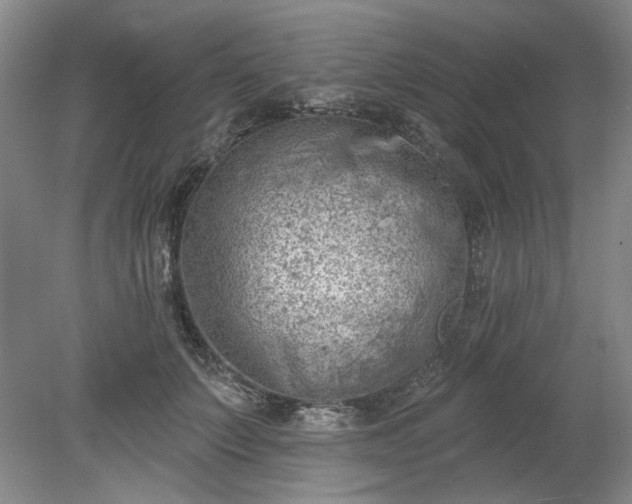 X0000078230703200611101010