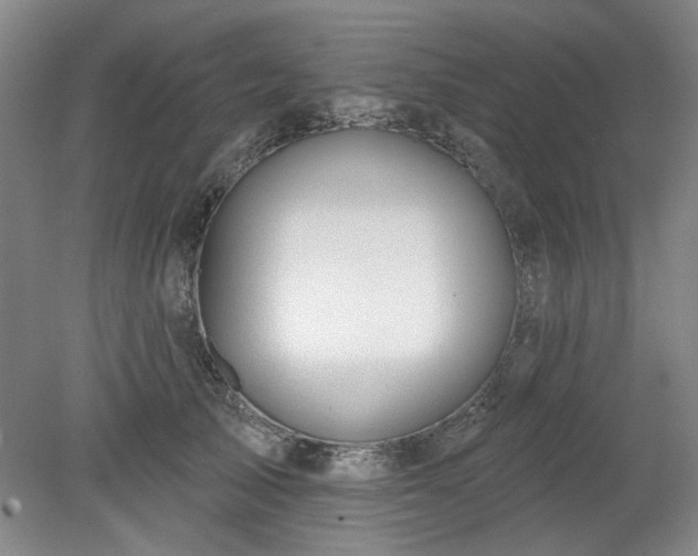 X0000078230705200611101010