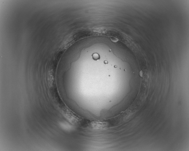 X0000078230707200611101010