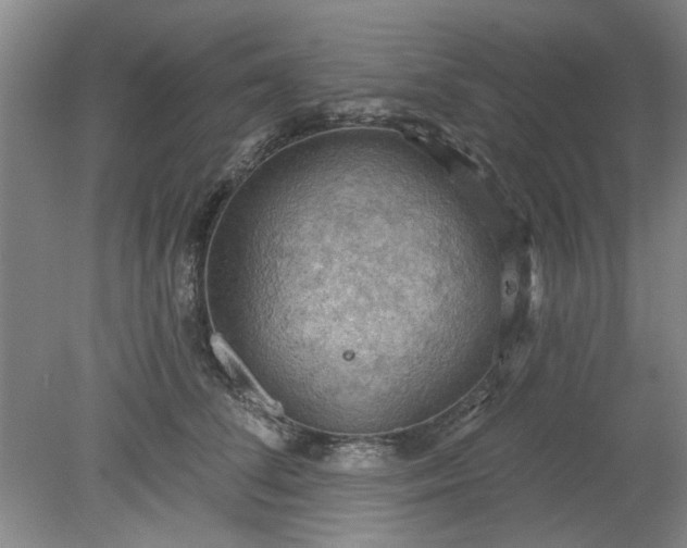 X0000078230708200611101009