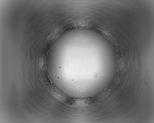 X0000078230709200611101009