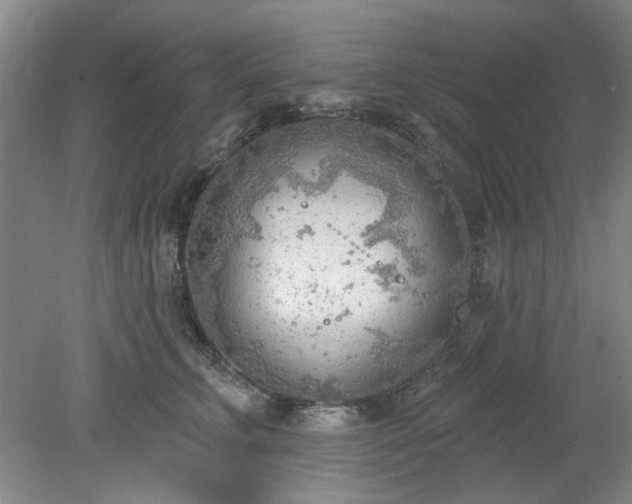 X0000078230711200611101009