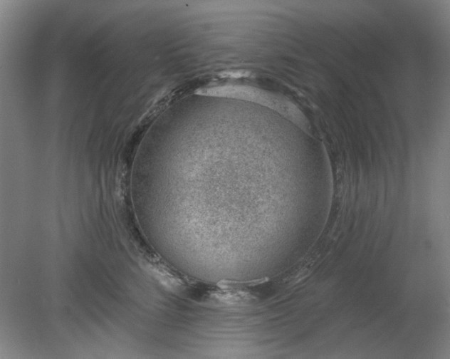 X0000078230712200611101009