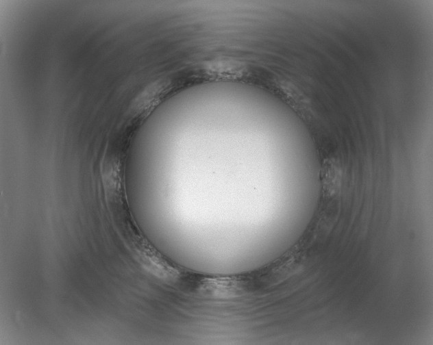 X0000078230713200611101009