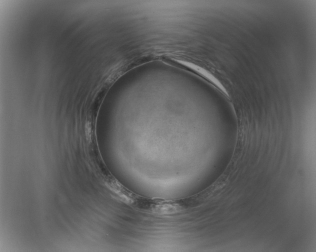 X0000078230716200611101009