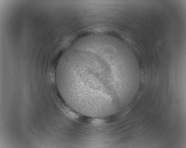 X0000078230718200611101009