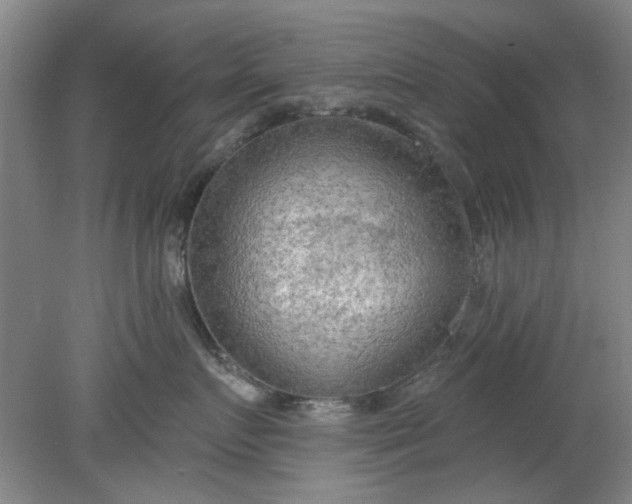 X0000078230719200611101009