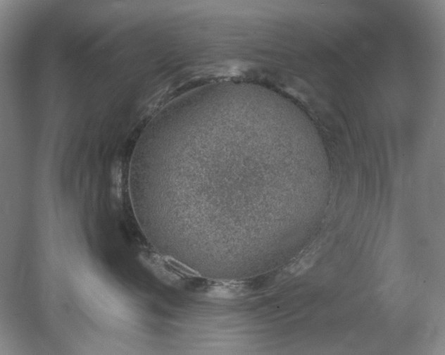 X0000078230720200611101009