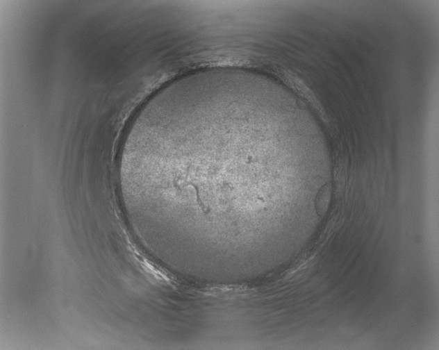 X0000078230721200611101008