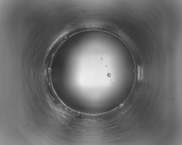 X0000078230723200611101009