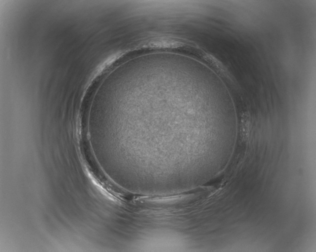 X0000078230726200611101009