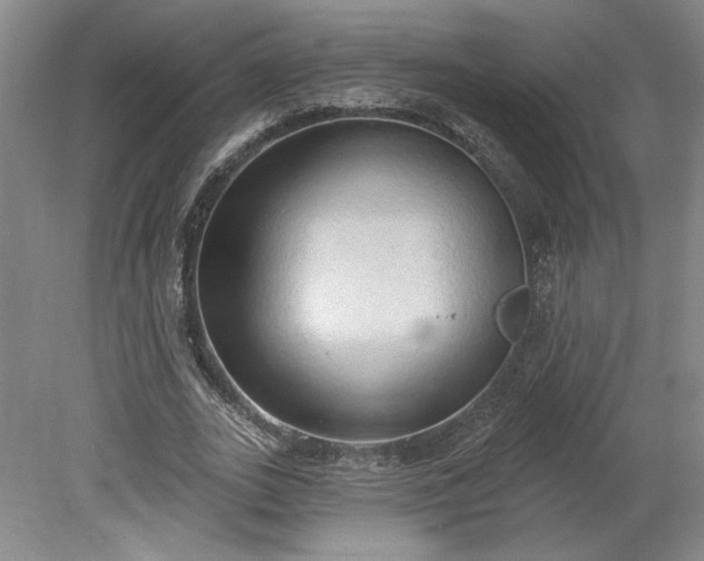 X0000078230727200611101009