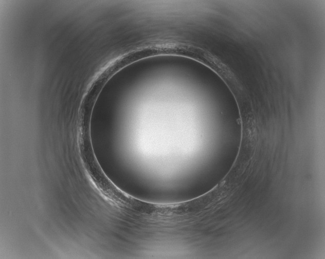 X0000078230728200611101009