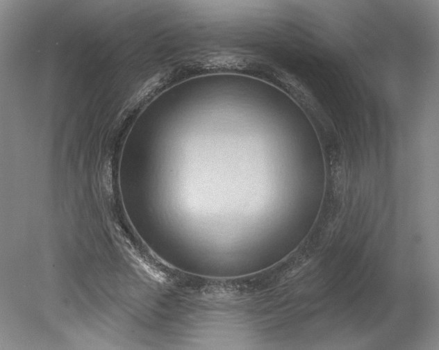 X0000078230729200611101009