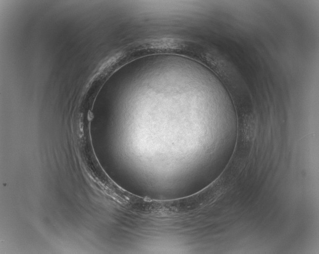 X0000078230731200611101009