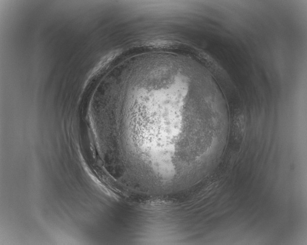 X0000078230734200611101009