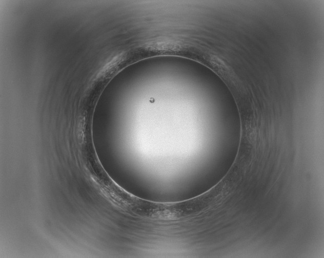 X0000078230735200611101009