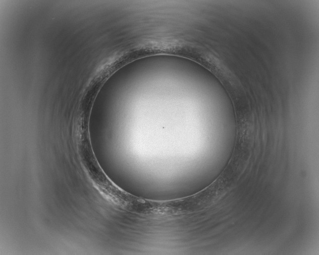 X0000078230736200611101009