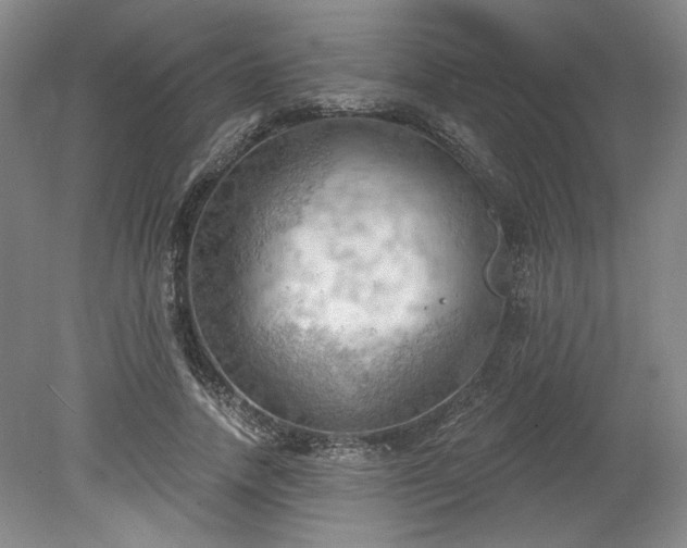 X0000078230738200611101009