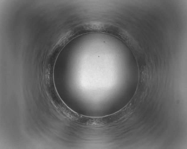 X0000078230739200611101009