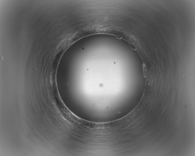 X0000078230740200611101009