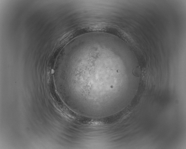 X0000078230741200611101009