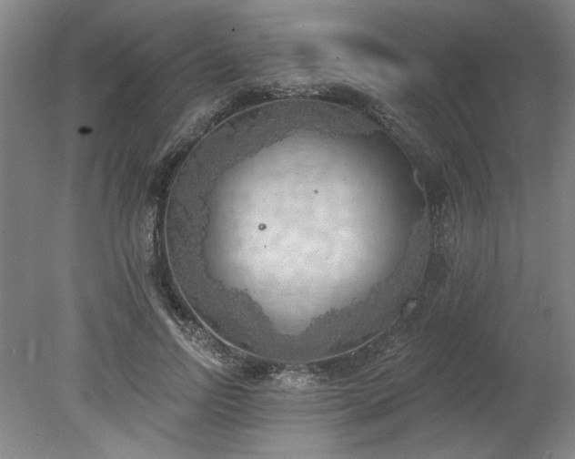 X0000078230742200611101009