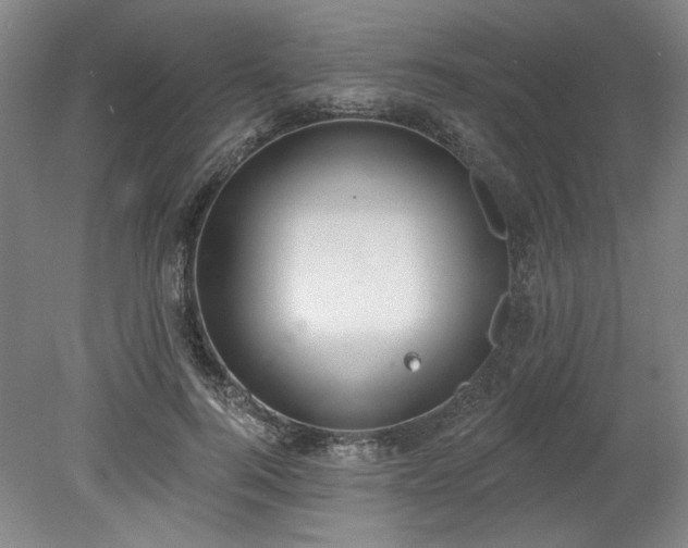 X0000078230744200611101009