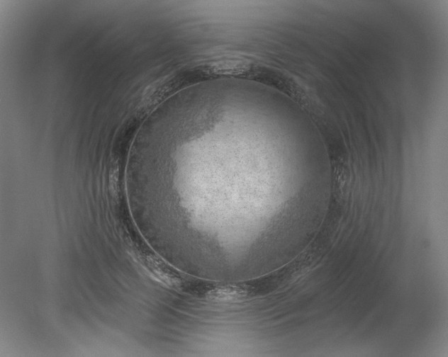 X0000078230745200611101009