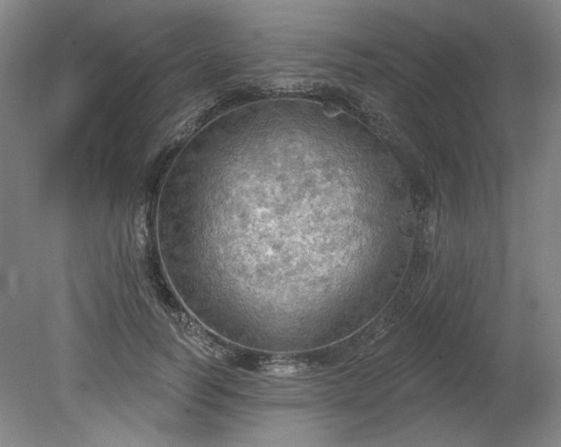 X0000078230746200611101009