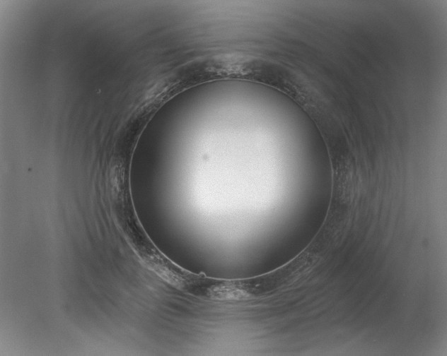 X0000078230747200611101009