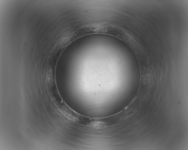 X0000078230748200611101009