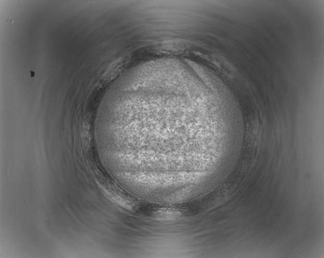 X0000078230749200611101009