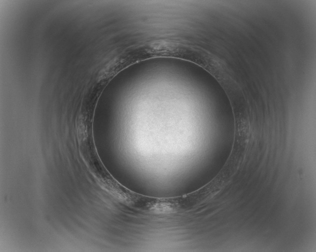 X0000078230751200611101009