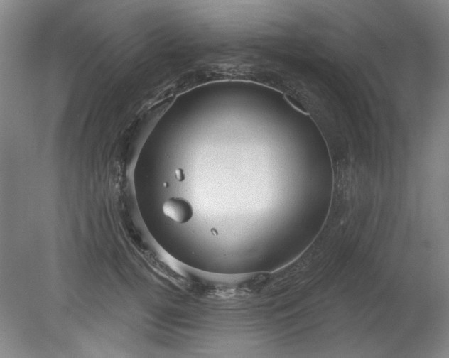 X0000078230752200611101009