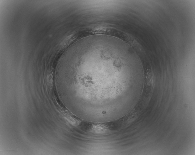 X0000078230753200611101009