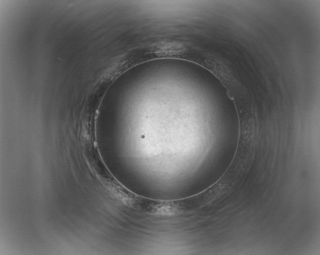 X0000078230755200611101009