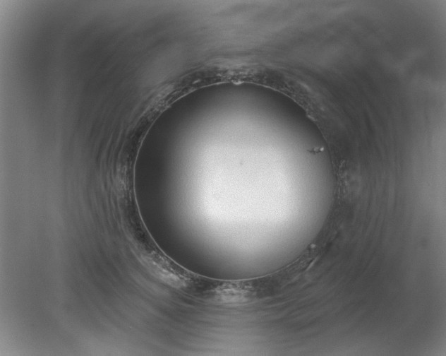 X0000078230756200611101009